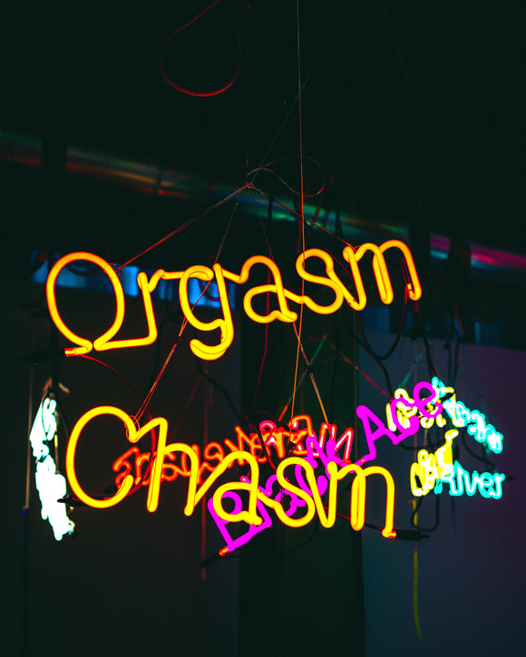 All About Orgasms